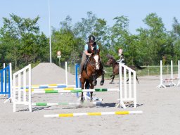 2009 Springundervisning